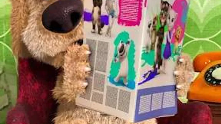 Talking Ben the Dog screenshot 3